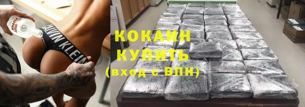 крисы Козловка