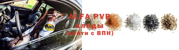 крисы Козловка