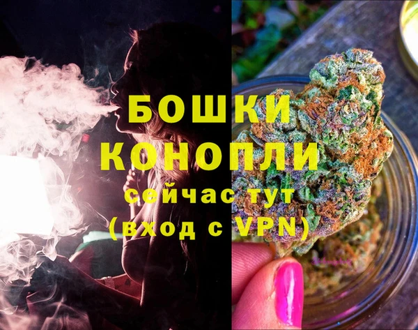 трава Козельск