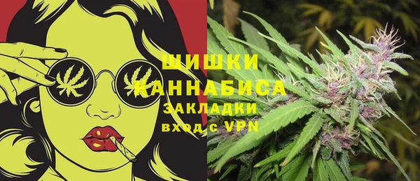 крисы Козловка