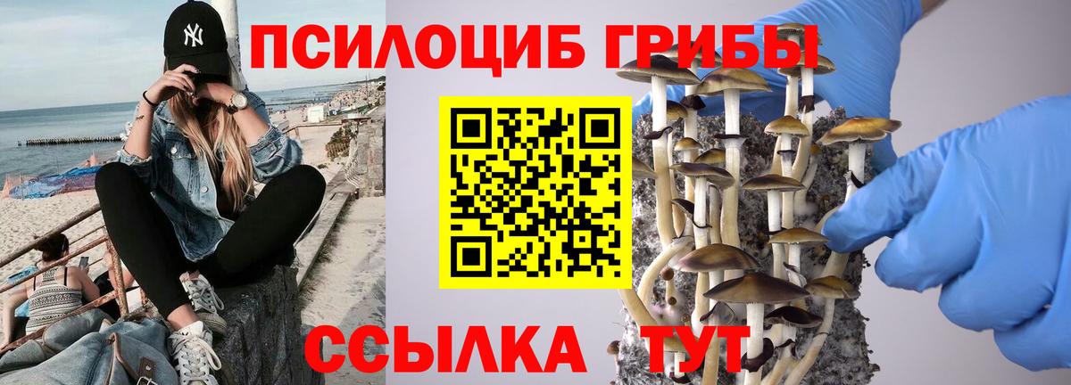 Чайковский  Галлюциногенные грибы прущие грибы  Псилоцибиновые грибы мицелий  Вход с VPN 