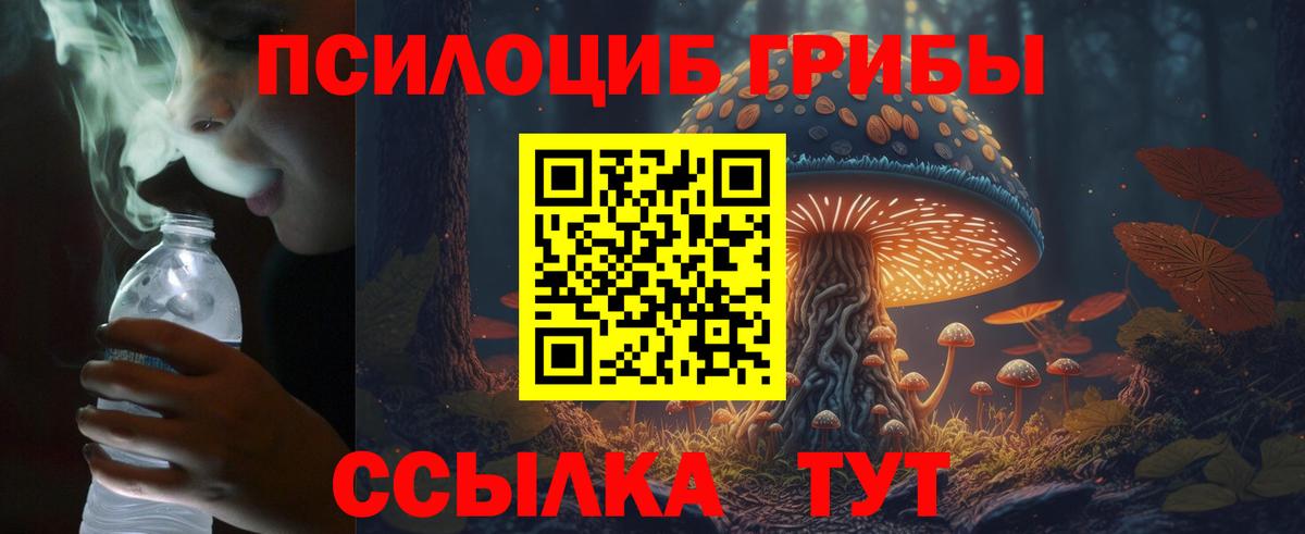 Псилоцибиновые грибы ЛСД Чайковский
