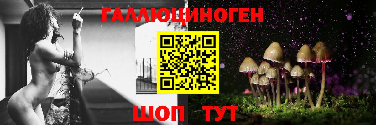 Галлюциногенные грибы Psilocybe  Чайковский 