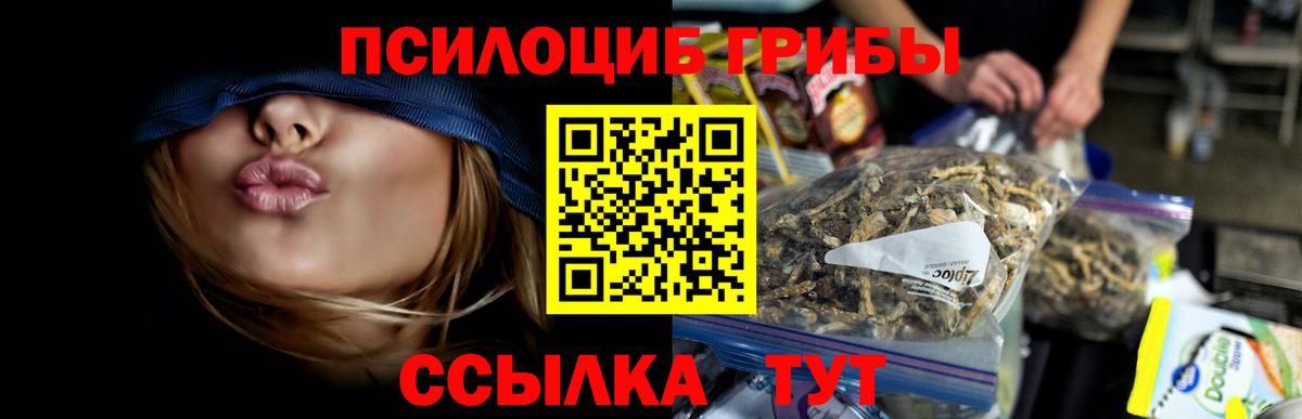 Галлюциногенные грибы Cubensis Чайковский